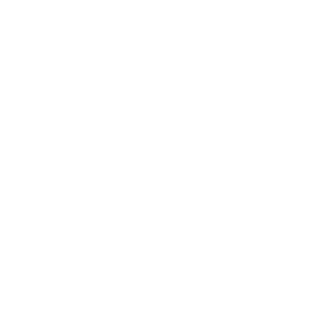 CSS